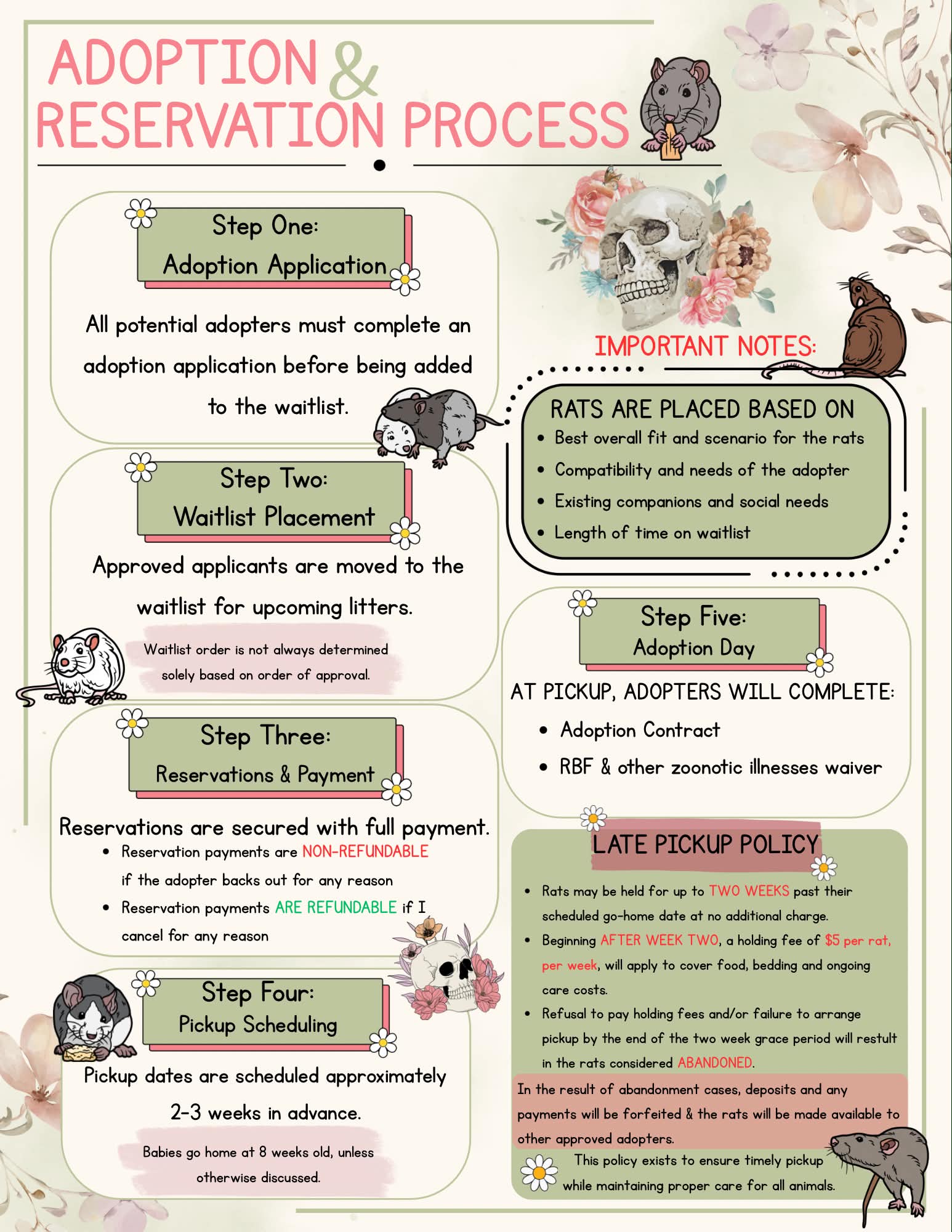 Daisy Fields Rattery adoption policies infographic